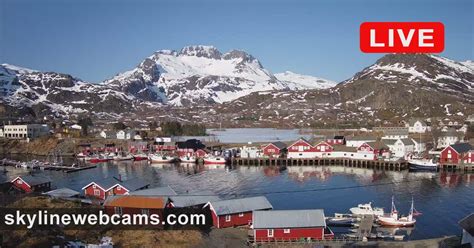 Check Live Webcams in Lofoten